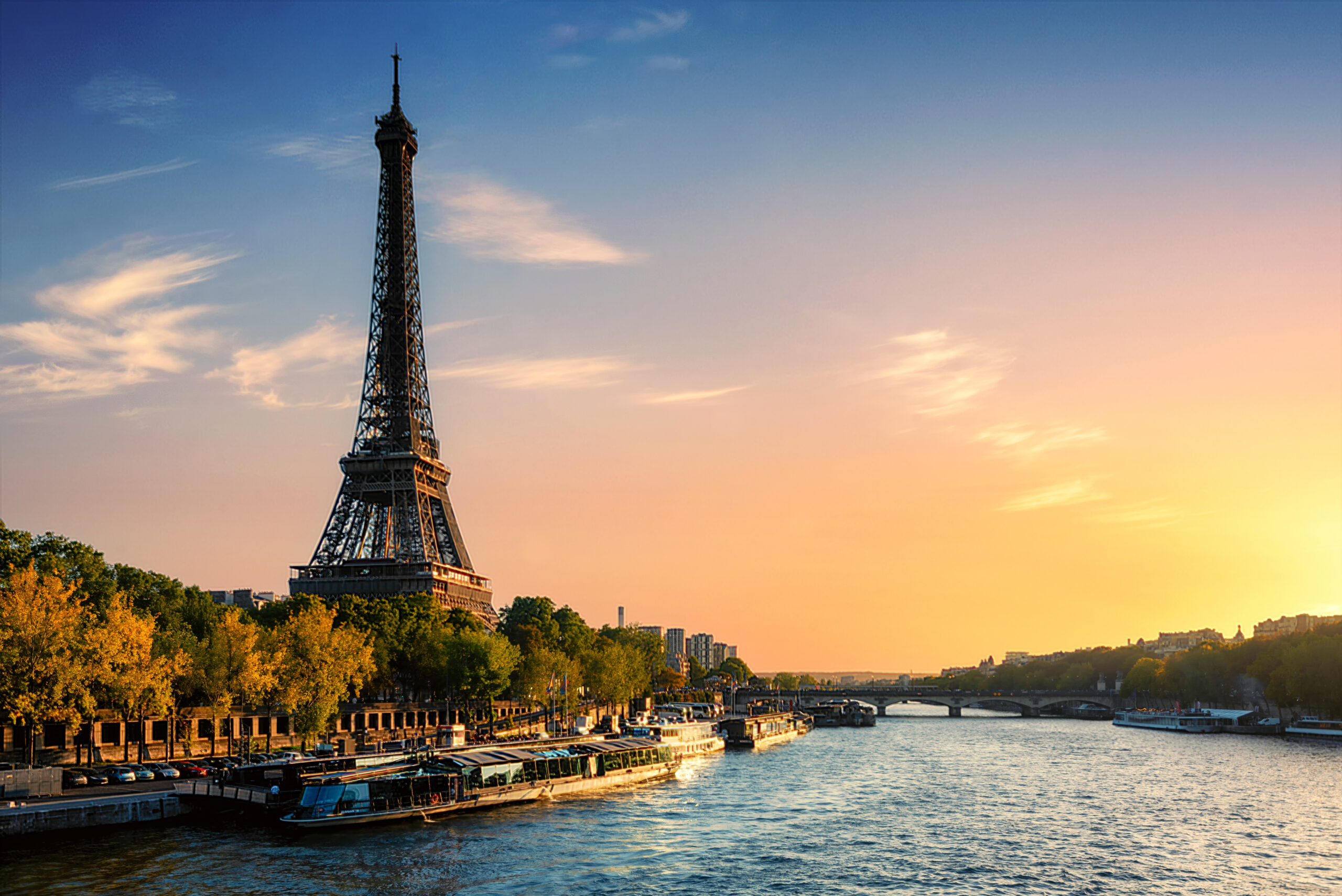 EFI Global is a well-respected market leader in France